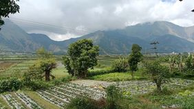 Balai Taman Nasional Gunung Rinjani (TNGR) mengumumkan bahwa kunjungan wisata alam di kawasan Gunung Rinjani, Lombok, Nusa Tenggara Barat, akan kembali dibuka pada 11 Agustus 2025 setelah melalui evaluasi menyeluruh.