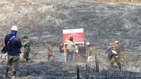 Kementerian Kehutanan (Kemenhut) telah mengambil tindakan tegas terhadap sejumlah perusahaan yang diduga terlibat dalam kebakaran hutan dan lahan (karhutla).
