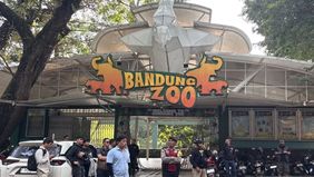 Pemerintah Kota Bandung, Jawa Barat, menyatakan bahwa penyelesaian konflik internal antara dua kubu pengelola Kebun Binatang Bandung (Bandung Zoo) sepenuhnya telah diserahkan kepada aparat penegak hukum.