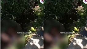 Informasi diterima, peristiwa itu terjadi sekitar pukul 12.00 WIB.
