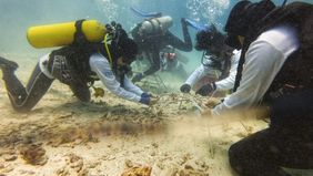  PT Pertamina International Shipping (PIS) kembali berinovasi dalam menjaga ekosistem laut Indonesia melalui program CSR Marine BiodiverSEAty. Salah satu kegiatan terbaru yang dilakukan PIS adalah transplantasi 1000 fragmen terumbu karang di Ujung Te