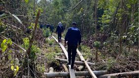 Kementerian Kehutanan (Kemenhut) berhasil menahan seorang pelaku yang diduga menjadi otak pembalakan liar di kawasan Suaka Margasatwa (SM) Kerumutan, Kabupaten Pelalawan, Riau.