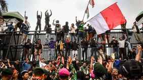 Trubus Rahardiansah, pakar kebijakan publik dari Universitas Trisakti, menekankan bahwa masyarakat harus mampu membedakan secara jelas antara demonstran dan perusuh agar tidak terjadi kesalahan persepsi dalam merespons aksi massa. 