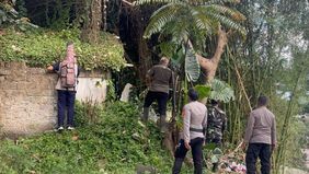 Balai Besar Konservasi Sumber Daya Alam (BBKSDA) Jawa Barat menginformasikan bahwa seekor macan tutul yang sebelumnya melarikan diri dari kandang karantina di Lembang Park and Zoo, Kabupaten Bandung Barat, diperkirakan bergerak ke arah hutan di kawas