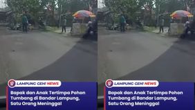 Korban diketahui bernama Yuriansyah 36) dan ayahnya, Ikhsan (62). Keduanya tertimpa pohon saat mengendarai sepeda motor Yamaha dengan nomor polisi BE 2346 ADU sepulang kerja.