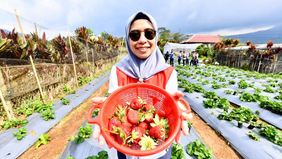 Pertamina Mendorong Pemberdayaan Masyarakat Dan Pertumbuhan Ekonomi Lokal Melalui Desa Energi Berdikari
