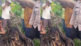 Kerangka manusia itu pertama kali ditemukan Rian (17) warga setempat bersama dua rekannya sedang memanen buah sawit. Hingga saat ini pihak kepolisian Polres Serdang Bedagai masih mendalami temuan kerangka manusia tersebut.