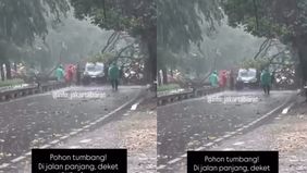 Selasa siang, 9 September 2025, dilaporkan terjadi pohon tumbang akibat hujan angin di dekat ABUBA Steak, Jalan Panjang, Kedoya, Jakarta Barat.
Mohon berhati-hati.
