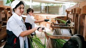 Holding Industri Pertambangan Indonesia MIND ID konsisten menunjukkan komitmennya dalam mendukung masyarakat daerah untuk menciptakan ekosistem ekonomi sirkular yang memberi manfaat langsung bagi masyarakat dan alam.