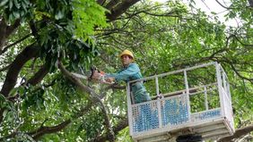 Pemerintah Provinsi Guangdong, China selatan, pada Selasa, 23 September 2025 pukul 10.00 waktu setempat menaikkan status tanggap darurat angin ke level tertinggi, menyusul perkiraan bahwa Topan Ragasa akan mendarat di wilayah pesisir. 