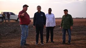 Kementerian Transmigrasi (Kementrans) mengajak kolaborasi dalam riset dan usaha perkebunan besar tebu yang tengah mengembangkan usaha di Domande, Kabupaten Merauke, Papua Selatan.