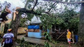 Topan Bualoi menerjang wilayah utara-tengah Vietnam pada Senin dini hari, membawa hujan deras, banjir, serta merusak rumah penduduk. Laporan media lokal menyebutkan, bencana ini menewaskan sedikitnya 12 orang.