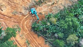 Kementerian Kehutanan (Kemenhut) menetapkan seorang tersangka berinisial JA sebagai dalang di balik pembukaan hutan lindung yang menimbulkan kerusakan lingkungan di Kabupaten Konawe Selatan, Sulawesi Tenggara (Sultra).