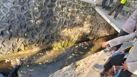 Mayat yang belum diketahui indentitasnya tersebut pertama kali ditemukan oleh pengguna jalan yang sedang melintas pada Kamis (2/10/2025) sekitar pukul 06.42 WIB. Warga pun sempat panik dan akhirnya melaporkan kejadian itu ke pihak kepolisian dan petu