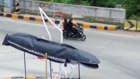 Sebuah video yang menampilkan Tugu Ikan Gabus di kawasan exit Tol Gabus, Desa Srijaya, Tambun Utara, Kabupaten Bekasi, Jawa Barat, tengah menjadi sorotan besar di media sosial. Rekaman yang diunggah oleh akun Instagram @infobekasi itu telah ditonton 