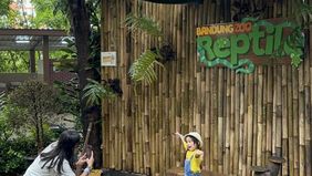 Kebun Binatang Bandung (Bandung Zoo) kembali beroperasi secara terbatas dengan memberikan akses gratis bagi pelajar dan tamu undangan, setelah sebelumnya area tersebut ditutup dan dipasangi garis polisi.