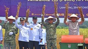 Panglima TNI Jenderal TNI Agus Subiyanto bersama Kepala Staf TNI Angkatan Laut Laksamana TNI Muhammad Ali mendampingi Menhan Sjafrie Sjamsoeddin meninjau secara langsung kegiatan panen kedelai varietas Garuda Merah Putih.