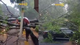 Hujan deras yang mengguyur wilayah Jakarta pada Kamis, 30 Oktober 2025 sore, membuat sejumlah kawasan di Ibu Kota terendam banjir dan menyebabkan pohon tumbang di berbagai titik.