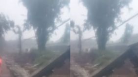 Hujan deras yang mengguyur wilayah Jakarta Selatan pada sore hari menyebabkan tembok pembatas Tempat Pemakaman Umum (TPU) Jeruk Purut ambruk, Kamis, 30 Oktober 2025.