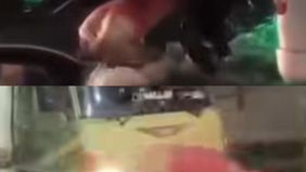 Viral! 2 Sopir Baku Hantam di Tengah Banjir Jalan Raya Demak–Semarang