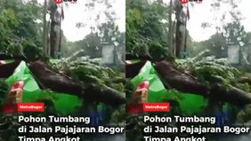 Insiden ini terjadi saat hujan deras disertai angin kencang melanda kawasan tersebut.