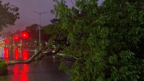 Sedikitnya 60 orang meninggal dunia dan 20 lainnya masih hilang hingga Rabu, 5 November 2025 setelah Topan Kalmaegi melanda wilayah tengah Filipina, menurut laporan The Associated Press.