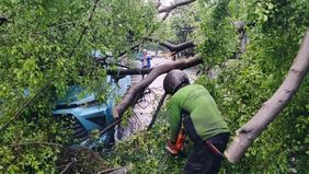 Polres Metro Jakarta Pusat memastikan tidak ada korban jiwa dalam insiden pohon tumbang yang menimpa dua mobil taksi di Jalan Wahidin Raya, Sawah Besar, pada Jumat, 14 November 2025 siang.