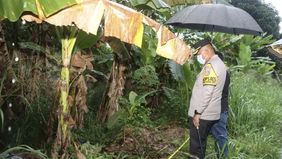 Polresta Tangerang menyampaikan bahwa mayat yang ditemukan di Kampung Bunder, RT 05/RW 01, Kecamatan Cikupa, Kabupaten Tangerang, Banten, diperkirakan telah meninggal sekitar satu pekan sebelum ditemukan.