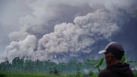 BPBD Kabupaten Malang menyampaikan bahwa hingga Rabu, 19 November 2025 malam, belum ada dampak erupsi Gunung Semeru yang terpantau di wilayah-wilayah perbatasan dengan Kabupaten Lumajang, Jawa Timur.