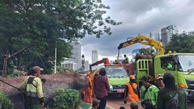 PT MRT Jakarta (Perseroda) mengevakuasi total 524 pelanggan karena terdampak gangguan akibat pohon tumbang di kawasan Jalan Sisingamangaraja, tepat di depan gedung Caraka Loka Kementerian Luar Negeri (Kemenlu), Gunung, Kebayoran Baru, Jaksel. 