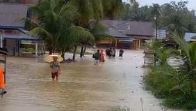 Badan Nasional Penanggulangan Bencana (BNPB) melaporkan bahwa banjir merendam sekitar 183 hektare lahan pertanian di Kabupaten Padang Pariaman, Sumatera Barat, akibat luapan sungai yang tidak mampu menahan curah hujan tinggi selama tiga hari terakhir