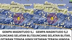 Getaran gempa dirasakan cukup jelas di sejumlah wilayah, termasuk di Kabupaten Tulungagung. Sejumlah warga melaporkan merasakan guncangan singkat namun membuat mereka terbangun dari tidur. Hingga saat ini belum ada laporan kerusakan maupun dampak sig