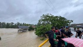 Badan Penanggulangan Bencana Daerah (BPBD) Aceh Timur melaporkan bahwa sebanyak 29.706 warga terdampak banjir yang melanda wilayah tersebut dalam beberapa hari terakhir. Banjir dipicu oleh curah hujan tinggi yang mengguyur kawasan pesisir timur Aceh.