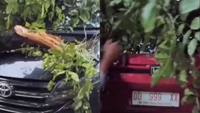 Hujan deras yang disertai angin kencang menyebabkan sebuah pohon besar di area parkir Kantor Gubernur Sulawesi Selatan (Sulsel) roboh pada Sabtu, 29 November 2025 siang. 