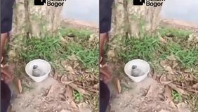 Benda mirip granat tersebut ditemukan anak-anak yang sedang mencari kerang laya di bendungan tersebut.