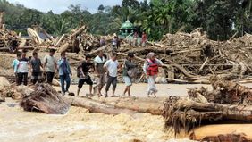 Beredar sebuah video berdurasi 10 detik di TikTok yang memperlihatkan seekor harimau terseret arus banjir, sementara sejumlah warga tampak mengungsi dengan naik ke atap rumah. Unggahan yang telah ditonton hingga 500 ribu kali itu.