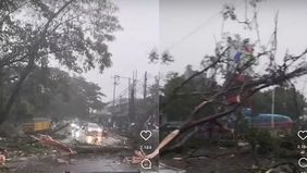 Hujan disertai angin kencang menyebabkan sebuah pohon tumbang di kawasan Cipayung, Depok, pada Senin sekitar pukul 15.10 WIB. Dalam keterangan video yang diunggah akun infodepok_id, disebutkan bahwa “hempasan angin kencang membuat sebuah pohon dat ro