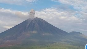 Gunung Semeru yang berada di perbatasan Kabupaten Lumajang dan Malang, Jawa Timur, tercatat mengalami 16 kali erupsi pada Rabu, dengan ketinggian letusan tertinggi mencapai 1.100 meter di atas puncak.