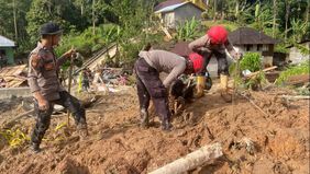 Tim pencarian korban tanah longsor di Desa Sibalanga, Kecamatan Adian Koting, Kabupaten Tapanuli Utara (Taput), mendapat dukungan signifikan dengan pengerahan satu ekor anjing pelacak jenis K9 dari Polda Sumatra Utara (Sumut) pada Sabtu, 29 November 