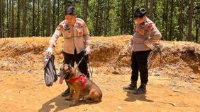 Unit K-9 Polda Riau tengah berduka atas kehilangan salah satu anjing pelacak mereka bernama Reno. Ia gugur saat menjalankan Bantuan Kendali Operasi (BKO) pencarian korban bencana di Kecamatan Palembayan, Kabupaten Agam, Sumatera Barat.