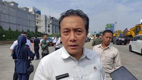 Wakil Menteri Lingkungan Hidup, Diaz Hendropriyono, menyampaikan bahwa pemerintah sedang melakukan penelusuran terhadap dugaan pelanggaran lingkungan yang diduga dilakukan oleh delapan perusahaan di wilayah Sumatera Utara (Sumut).