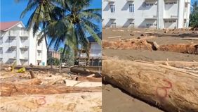 Seorang pria terekam menunjukkan rasa herannya saat melihat sejumlah batang pohon yang hanyut terbawa banjir dan memenuhi area permukiman warga diduga di Aceh. 