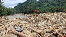 Walhi menyoroti sejumlah hal usai Presiden Prabowo mencabut izin 28 perusahaan di tiga wilayah bencana di Pulau Sumatra