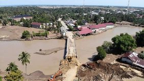Badan Riset dan Inovasi Nasional (BRIN) mencatat setidaknya 118 daerah aliran sungai (DAS) terdampak bencana banjir di Aceh dan Sumatera Utara (Sumut).