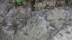 Para ahli paleontologi berhasil mengidentifikasi lebih dari 20 jejak kaki dinosaurus serta vertebrata lainnya pada dinding batu di Provinsi Sichuan, wilayah barat daya China.