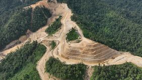 PT Merdeka Gold Resources Tbk (IDX: EMAS), anak usaha dari PT Merdeka Copper Gold Tbk (IDX: MDKA), mengumumkan capaian operasional dan finansial penting terkait perkembangan Tambang Emas Pani di Pohuwato, Provinsi Gorontalo.