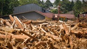 Kementerian Kehutanan (Kemenhut) memberikan izin pemanfaatan kayu yang terseret banjir di wilayah Sumatera untuk keperluan darurat sebagai bagian dari percepatan pemulihan di tiga provinsi terdampak. Izin tersebut tetap disertai sejumlah ketentuan ag