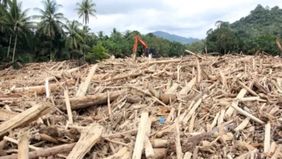 Direktorat Tindak Pidana Tertentu (Dittipidter) Bareskrim Polri resmi menaikkan status penanganan temuan kayu gelondongan yang terseret banjir di daerah aliran sungai (DAS) Garoga, Tapanuli Selatan, hingga Sungai Anggoli, Tapanuli Tengah.