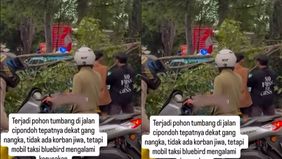 Sebuah pohon tumbang menimpa sebuah mobil taksi di Jalan KH Hasyim Ashari, Cipondoh, Tangerang, pada Jumat, 12 Desember 2025 sore sekitar pukul 16.00 WIB. Insiden terjadi ketika batang pohon roboh melintang di tengah jalan dan mengenai taksi Blue Bir