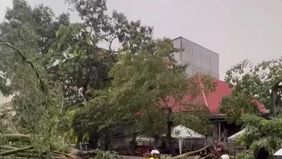 Sejumlah trayek bus Transjakarta dan Mikrotrans, termasuk layanan JAK 10, mengalami pengalihan rute akibat banjir dan pohon tumbang yang terjadi di beberapa titik di Jakarta pada Jumat, 12 Desember 2025.